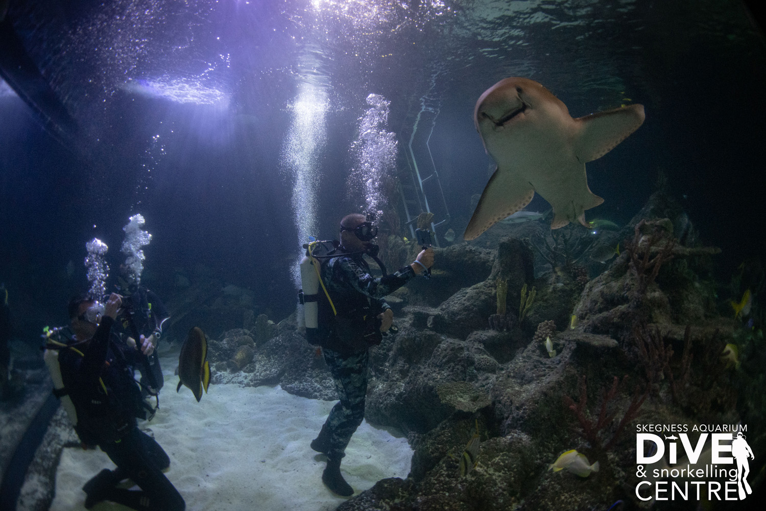 Start Your Adventure at Skegness Aquarium Dive & Snorkelling Centre